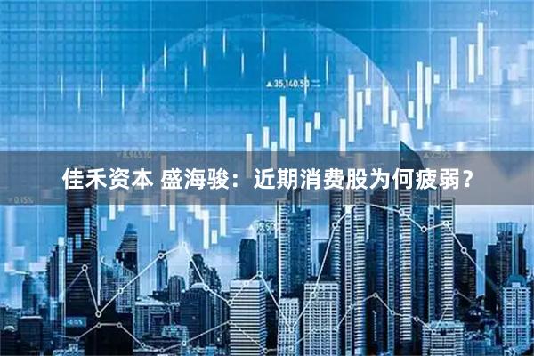 佳禾资本 盛海骏：近期消费股为何疲弱？